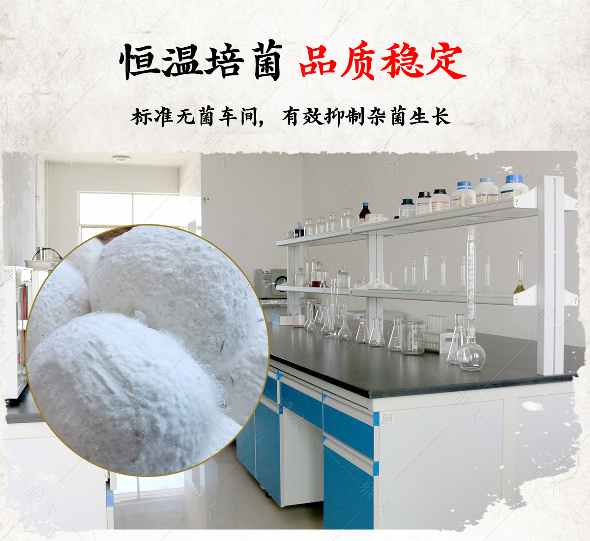 甜酒曲_05 甜酒曲_05