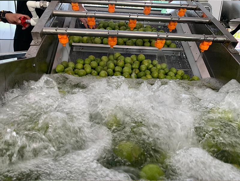 雅大果酒清洗設(shè)備